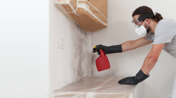 Professional Mold Remediation technician working in Wilmington, MA