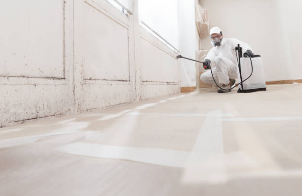 24/7 Emergency Mold Remediation experts in Wilmington, MA