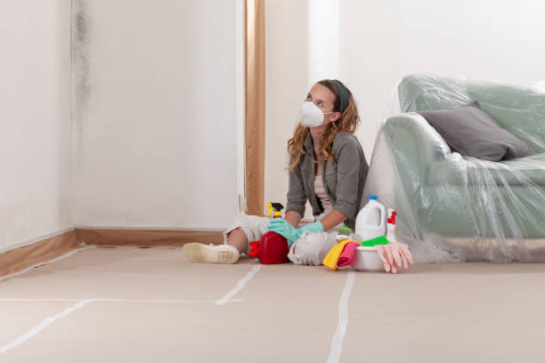 Reliable Mold Remediation contractor in Wilmington, MA by 24 Hour Mold Removal